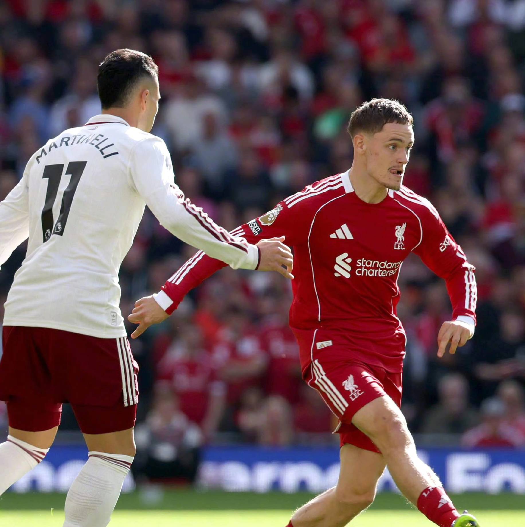 不会单一依 不会单一依